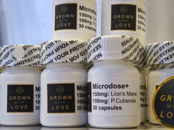 Capsules Psilocybe Cubensis