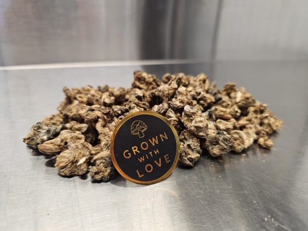 Dried magic mushrooms with "Grown with Love" badge on metallic surface.