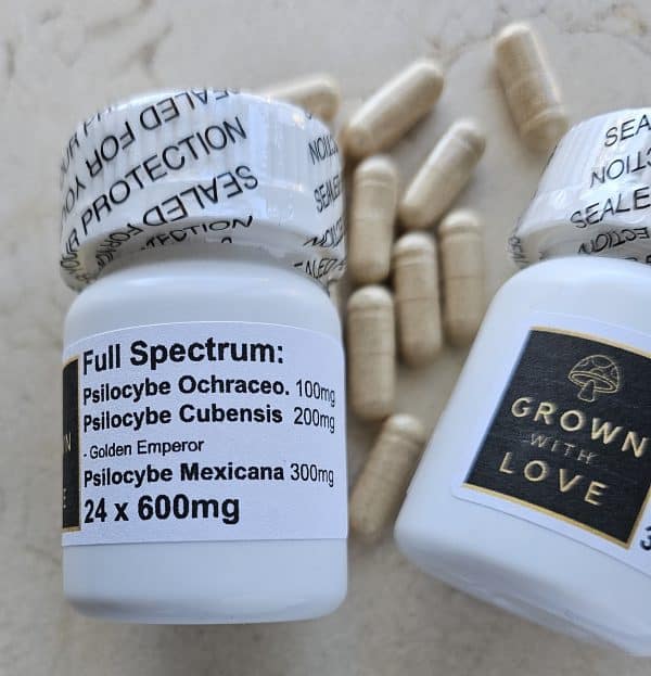 Psilocybe Cubensis Mexicana Ochraceocentrata capsules for psychedelic experiences.