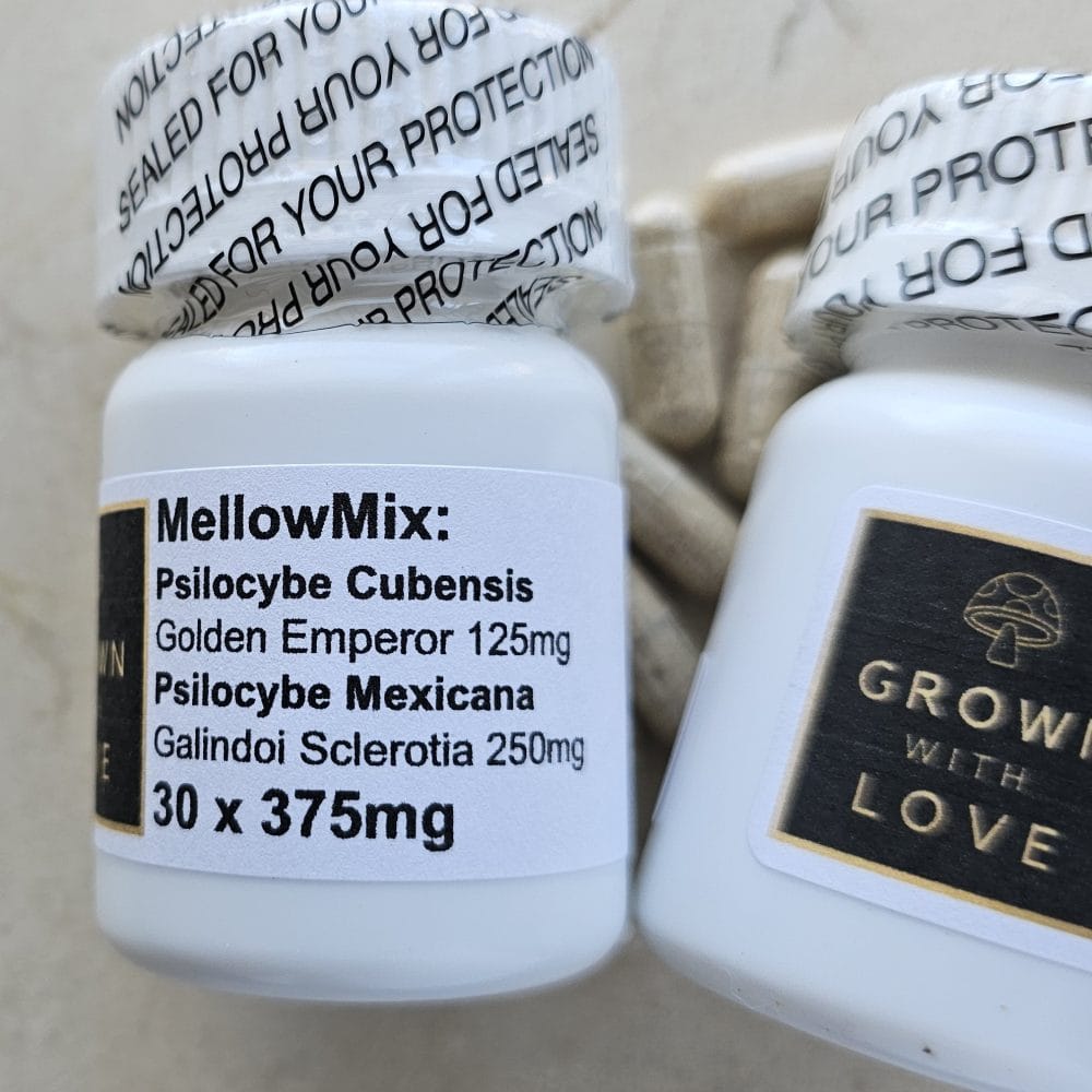 Psilocybe Cubensis and Mexicana capsules for psychedelic experiences.