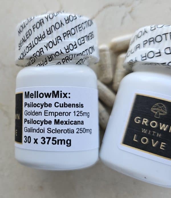 Psilocybe Cubensis and Mexicana capsules for psychedelic experiences.