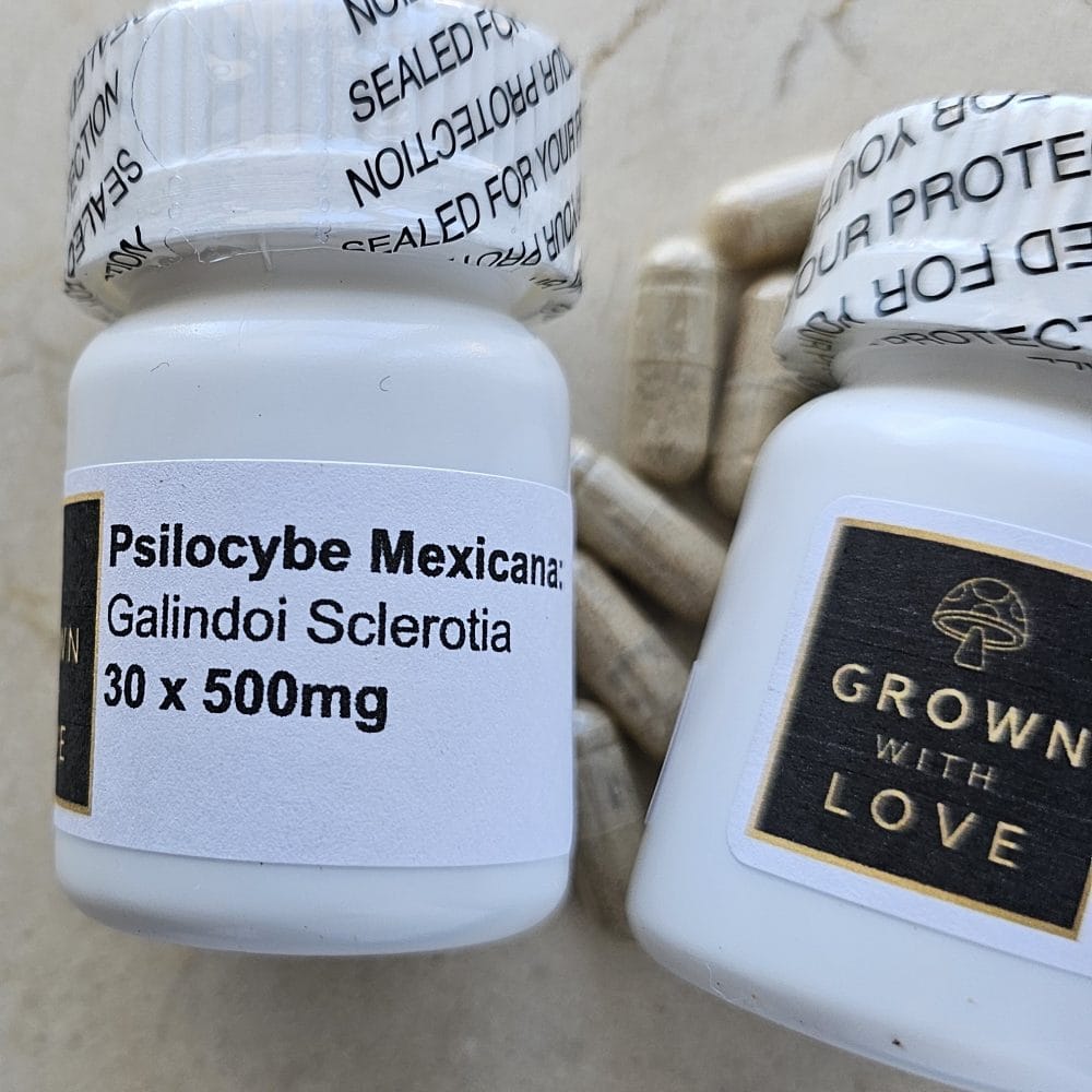 Magic Mushrooms & Psychedelic Sweets Psilocybe Mexicana Capsules magic mushroom for psychedelic experiences.