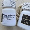 Psilocybe Mexicana Capsules magic mushroom for psychedelic experiences.