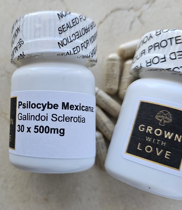 Psilocybe Mexicana Capsules magic mushroom for psychedelic experiences.
