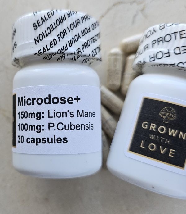 Lion'S Maine & Psilocybe Cubensis Capsules for Psychedelic Microdosing and mental clarity.