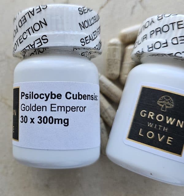 Psilocybe Cubensis Capsules Golden Emperor magic mushroom for psychedelic experiences.