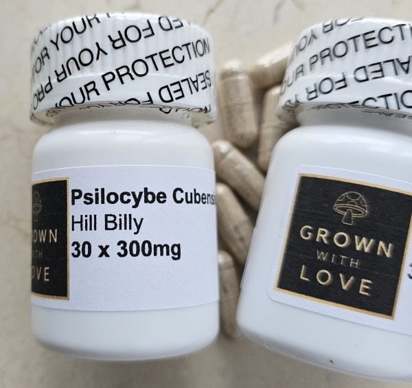 Psilocybe Cubensis Capsules Hill Billy magic mushroom for psychedelic experiences.