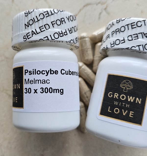 Psilocybe Cubensis Capsules Melmac magic mushroom for psychedelic experiences.