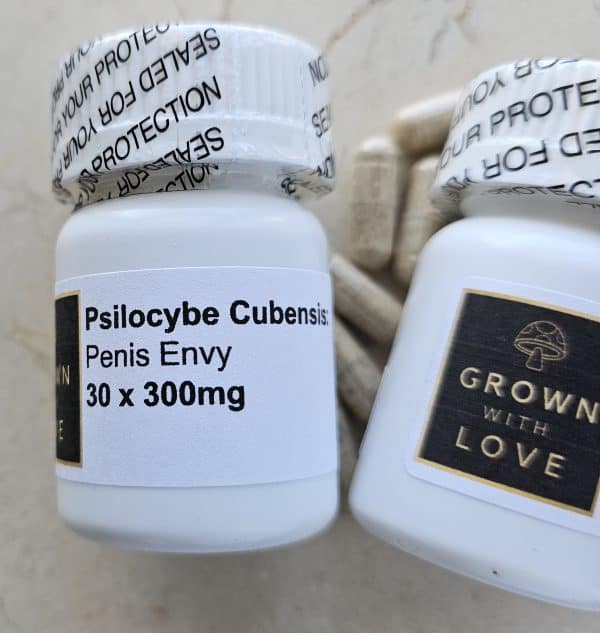 Psilocybe Cubensis Capsules Envy magic mushroom for psychedelic experiences.